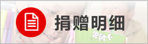 捐贈(zèng)明細(xì)